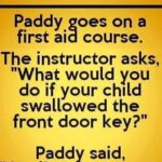 First Aid Logic, Paddy Style