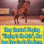 (VIDEO)They Started Playing “Singing In The Rain”, Now keep Your Eye On The Horse. Oh My Goodness!