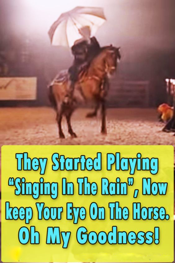 (VIDEO)They Started Playing “Singing In The Rain”, Now keep Your Eye On The Horse. Oh My Goodness!