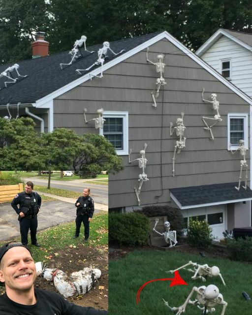 Neighbor’s Hilarious Response to Halloween Decoration Criticism Went Viral!