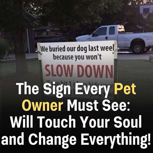 The Sign That Will Touch Your Soul and Change Everything about Pet Owners!!