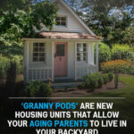 ‘Granny Pods’ Are New Housing Units That Allow Your Aging Parents To Live In Your Backyard