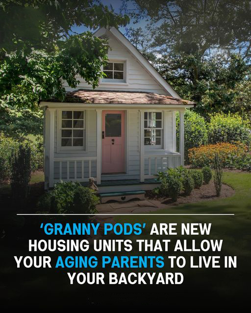 ‘Granny Pods’ Are New Housing Units That Allow Your Aging Parents To Live In Your Backyard