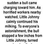 Little Johnny’s Unbelievable Bull Encounter