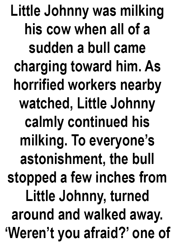 Little Johnny’s Unbelievable Bull Encounter