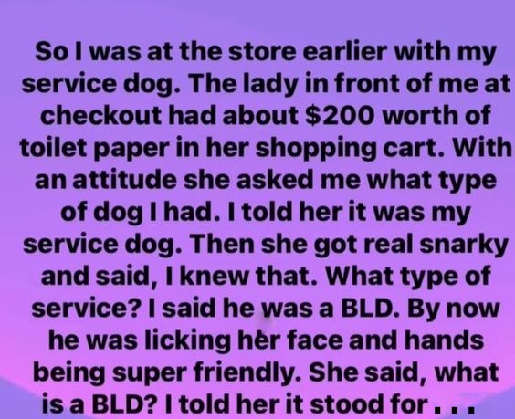 You Won’t Believe What This Woman Said About Her Service Dog!