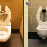 Mystery Over Why Some Toilet Seats Have Open Fronts Has Been Solved