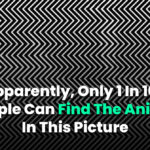 Apparently Only 1 In 100 People Can Find The Animal In This Picture