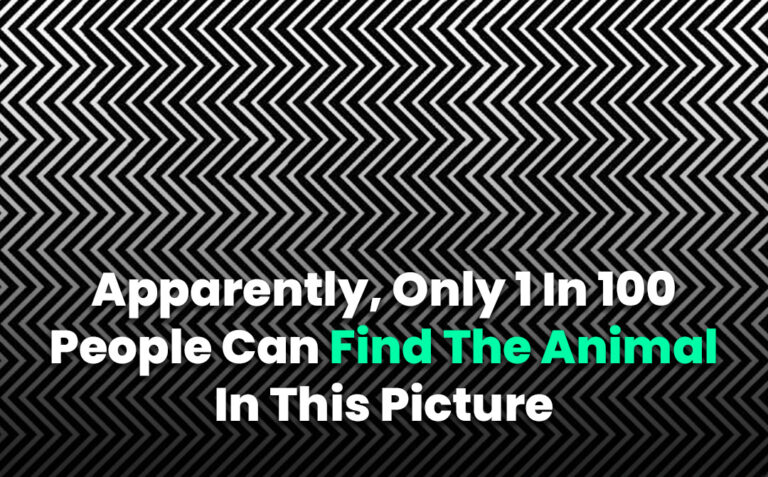 Apparently Only 1 In 100 People Can Find The Animal In This Picture