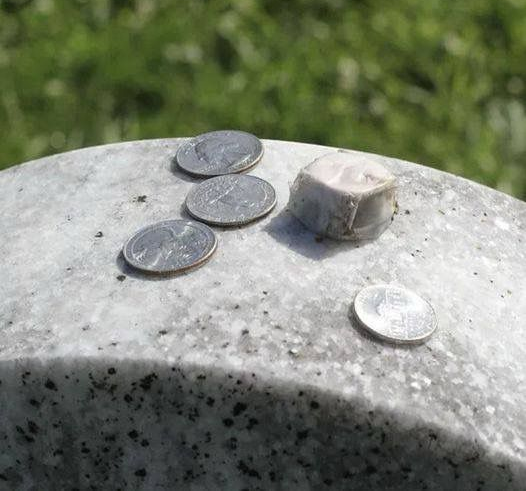 I never knew the purpose of leaving coins on gravestones – here’s what it means