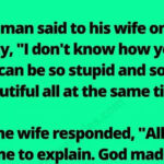 The Perfect Comeback: A Wife’s Hilarious Response to Her Husband’s Insult