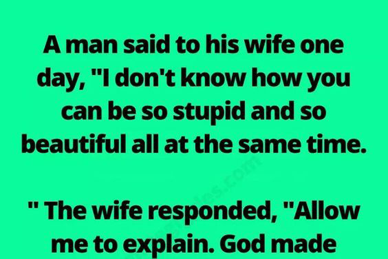 The Perfect Comeback: A Wife’s Hilarious Response to Her Husband’s Insult