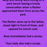 Three Old Ladies and the Unexpected Encounter at the Park