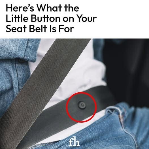 Do You Know What That Little Button on Your Seat Belt Is For?