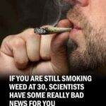 If You’re Still Smoking Weed at 30, Scientists Have Bad News For You And This Is Why You Should Be Concerned