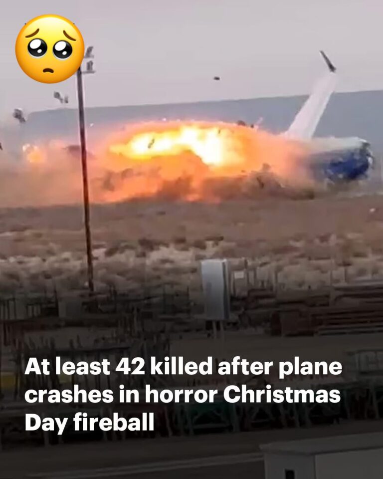 Horrifying new details of the plane crash