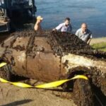 Shock Discovery! He Accidentally Found a Car at the Bottom of the River and Called the Police