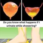 If you urinate in the shower, be cautious, as you should be aware that…