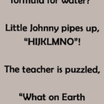 Little Johnny’s Clever Interpretation Of Chemistry Class!