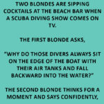 When Logic Takes a Dive—Blonde Style!