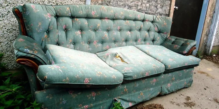 I Bought a $20 Couch at a Garage Sale, and It Changed My Life in a Day