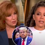 ‘The View’ Host In Hot Water Legally After House Committee Recommends Prosecuction