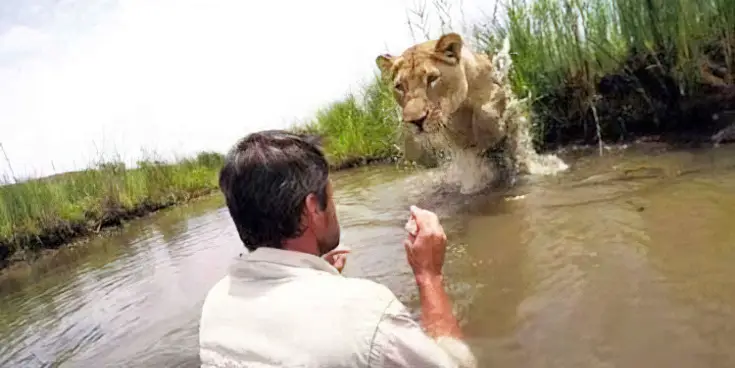 (VIDEO)He Reunites With Rescued Lioness After 7 Years, But When He Goes in Water…