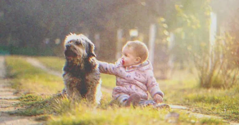 Man Hears His Dog Barking from Afar, Finds It Sitting near an Abandoned Baby – Story of the Day