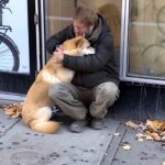 Dog Visits Closed Store Every Day, Then Leaves – One Night, a Poor Boy Follows and Discovers the Truth