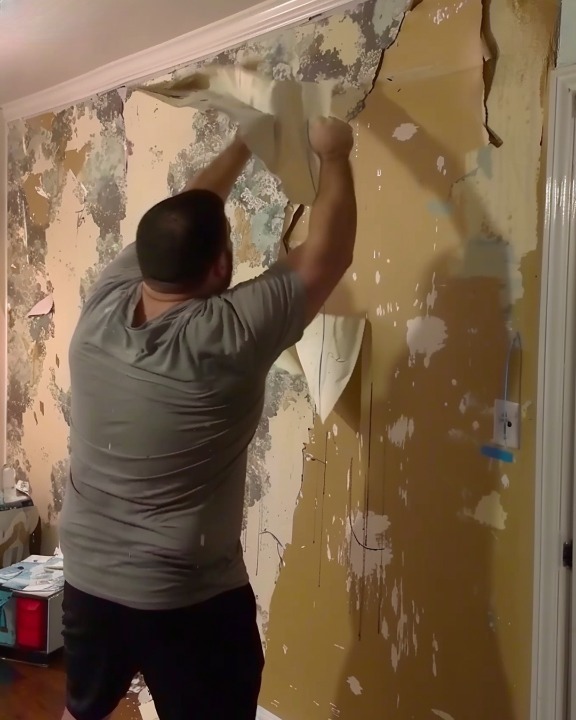 My Ex-Husband Tore Down the Wallpaper After Our Divorce Claiming ‘He Paid for It’ – Karma Had the Last Laugh