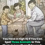 If You Spot Three Animals In This Image In Less Than 15 Seconds You’re A Genius