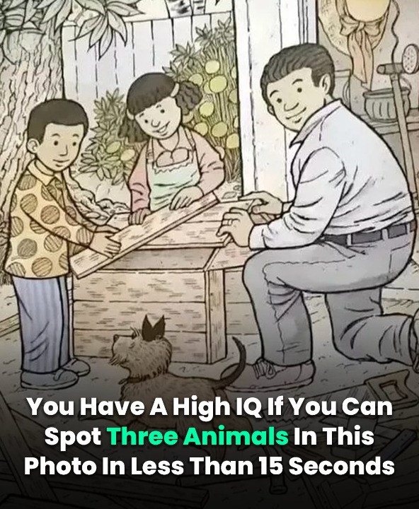 If You Spot Three Animals In This Image In Less Than 15 Seconds You’re A Genius