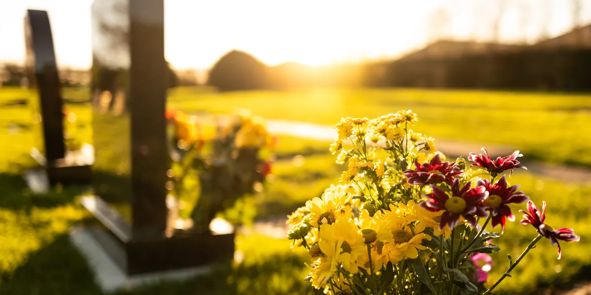 Every Week, I Found Children’s Gloves on My Father’s Grave – One Day, I Met a Teenager There