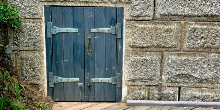 I Found a Hidden Door in My Cellar and I Think I’ve Made a Big Mistake Opening It