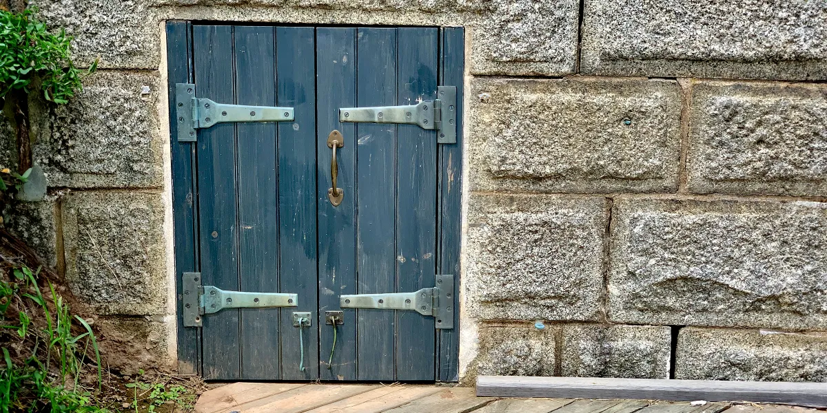 I Found a Hidden Door in My Cellar and I Think I’ve Made a Big Mistake Opening It