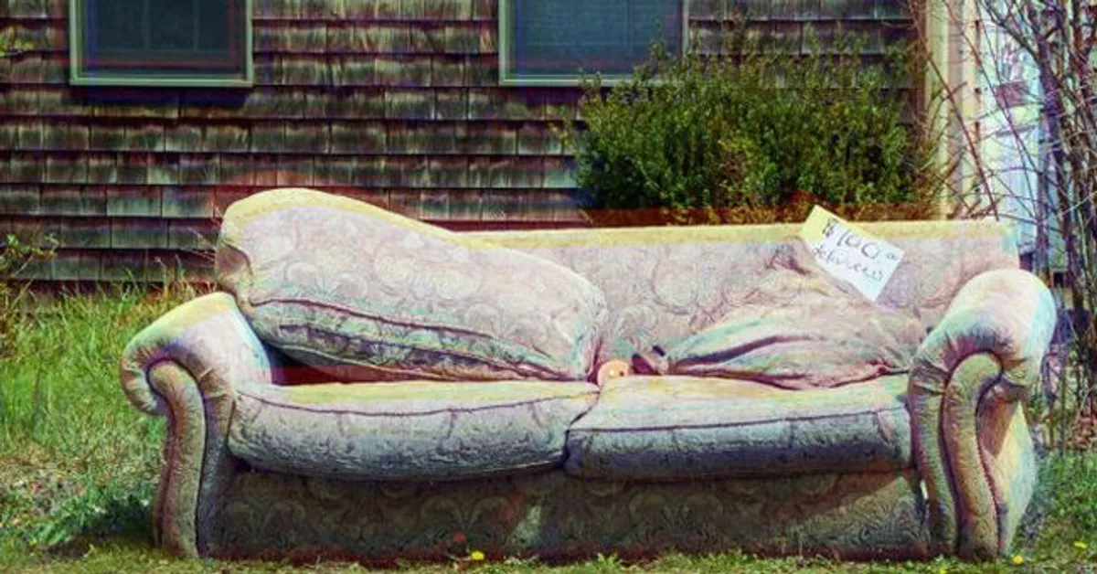 Husband Mocks Old Sofa His Wife Bought at Flea Market, Notices Its Zipper Minutes Later — Story of the Day