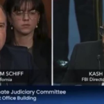 WATCH: Kash Patel Triggers Adam Schiff During Intense Bout Over J6