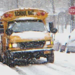 Driver Notices Little Boy Crying in School Bus, Jumps in to Help after Seeing His Freezing Hands – Story of the Day