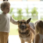 My Dog Wouldn’t Stop Howling When the Kids Left with My Mother-in-Law – I Had to See Why