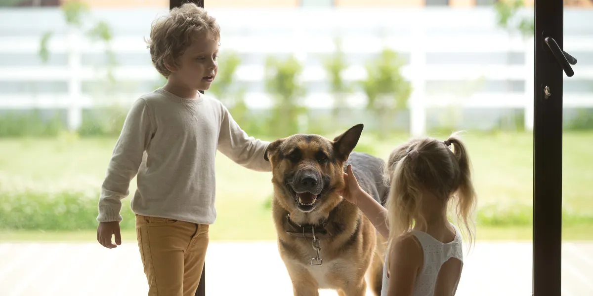 My Dog Wouldn’t Stop Howling When the Kids Left with My Mother-in-Law – I Had to See Why