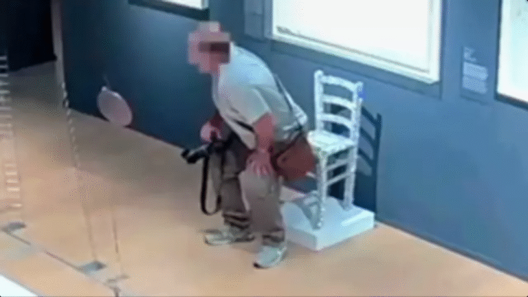 Everyone left saying the same thing after shocking footage shows tourist breaking ‘Van Gogh’ chair after sitting on it