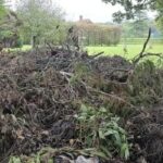 Can you spot the hidden dog? Only those with ‘sniper vision’ can find it