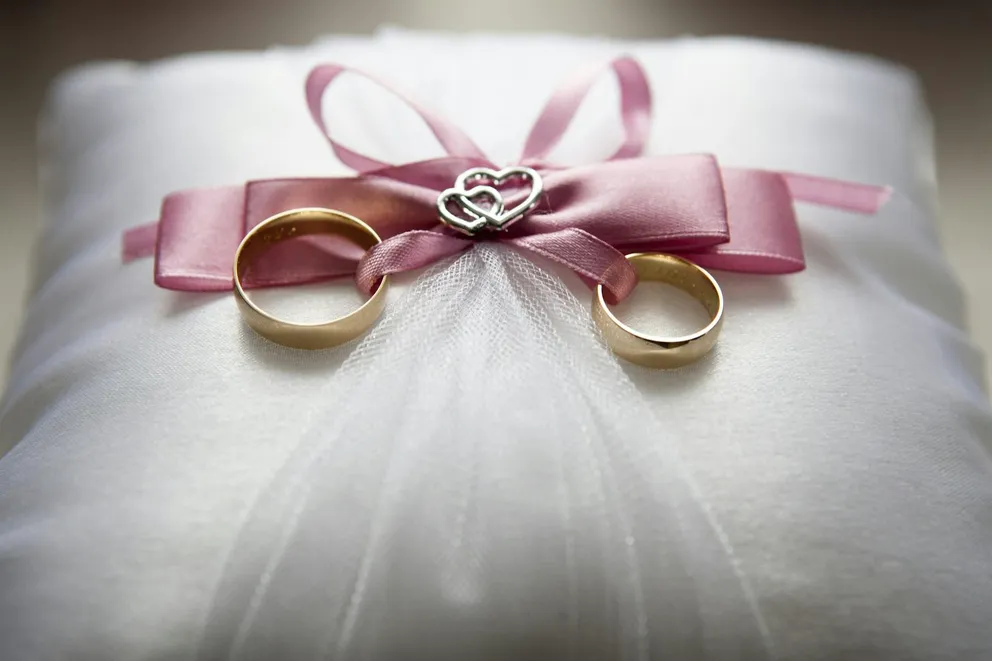 In-Laws Laugh at Groom’s Janitor Mom until She Takes Stage to Congratulate Newlyweds