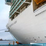 Royal Caribbean issues statement after mystery illness takes over ship travelling from USA to Mexico