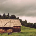 I Always Gave a Few Dollars to a Homeless Man on My Way to Work — on Christmas Eve, He Said, ‘Don’t Go Home Today…There’s Something You Don’t Know!’