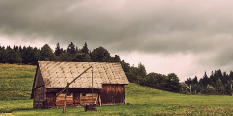 My Family Laughed When I Inherited the Old Farm – Then Developers Offered Me $2 Million