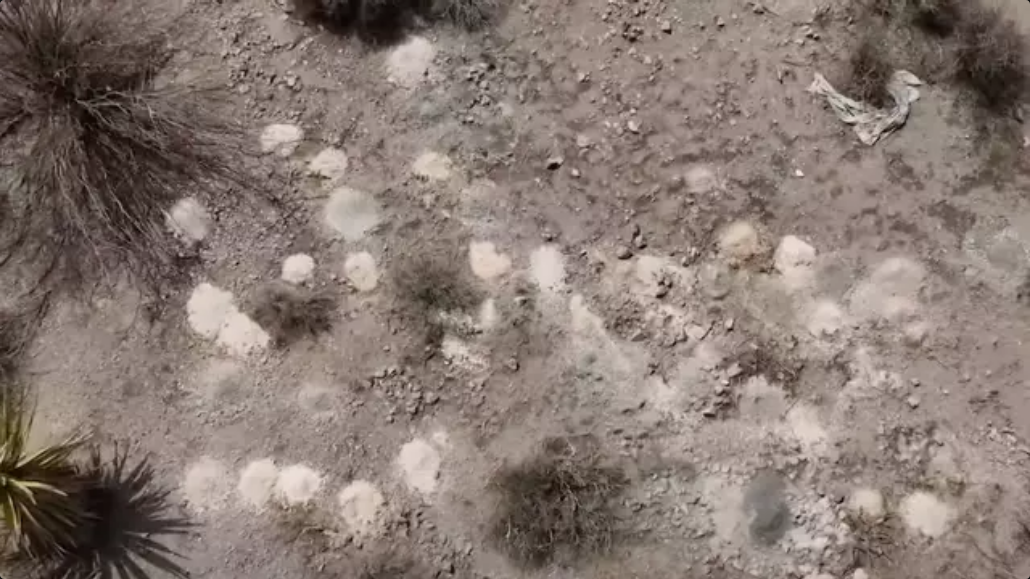 Over 100 piles of human remains found in Nevada desert as federal investigation launched