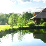 Entitled Neighbor Buried My Pond – I Showed Him Why You Don’t Cross an Older Woman