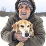 A Homeless Man Asked Me to Take Care of His Dog – Two Months Later, I Got a Letter That Left Me Speechless
