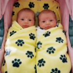 ‘Sorry Mom, I Couldn’t Leave Them,’ My 16-Year-Old Son Said When He Brought Newborn Twins Home